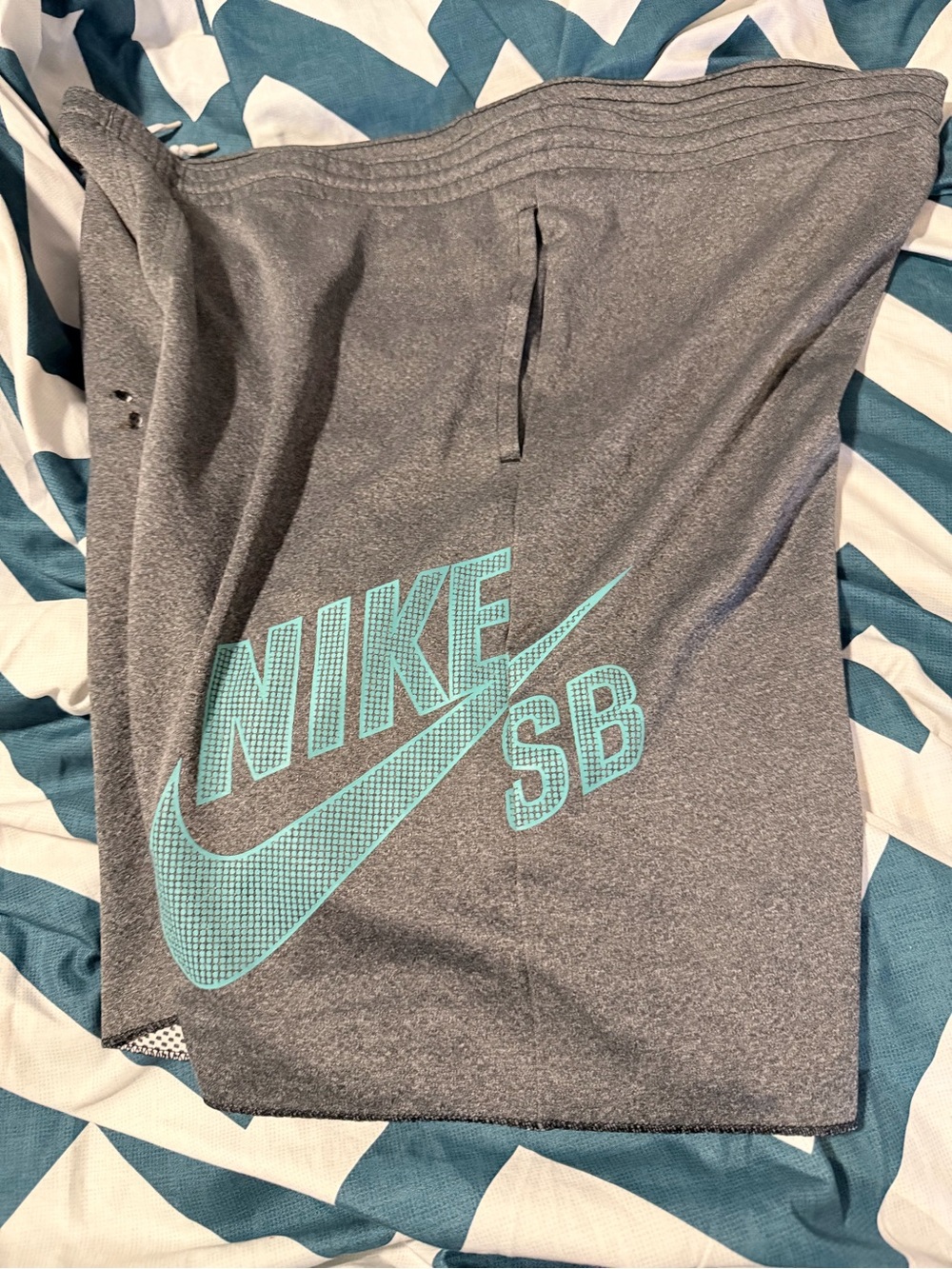 Mens Gray Nike SB Shorts with Teal Logo